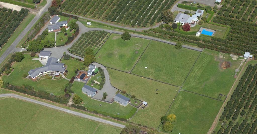 Cottages On St Andrews Havelock North Ngoại thất bức ảnh